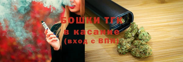 индика Балахна