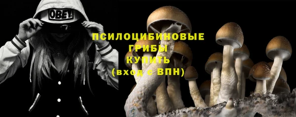 гидропоника Белокуриха