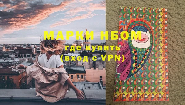 индика Балахна